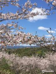 大佐山白塚古墳