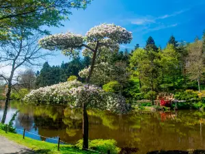 Parc Oriental de Maulevrier