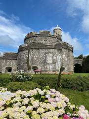 St Mawes Castle