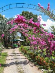 Belize Spice Farm & Botanical Gardens