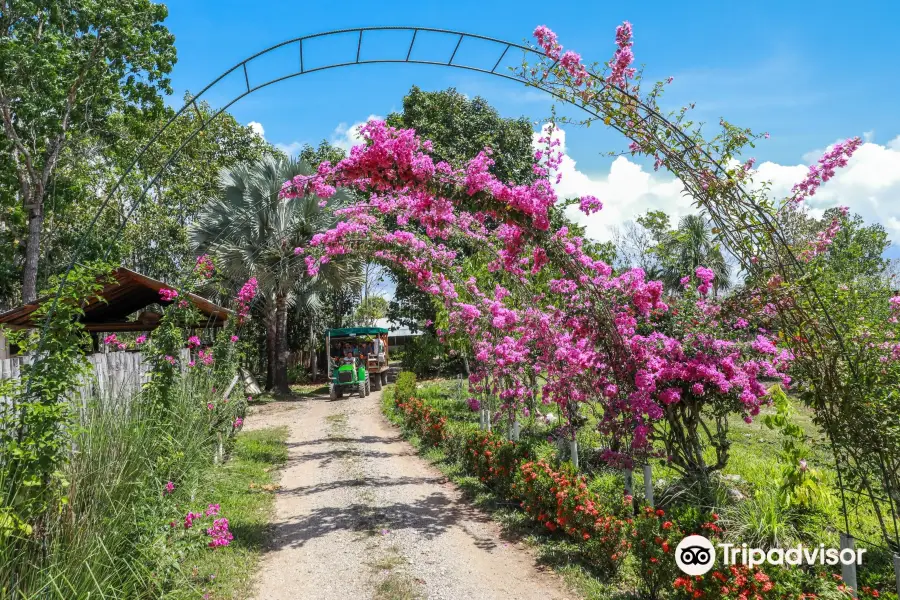 Belize Spice Farm & Botanical Gardens