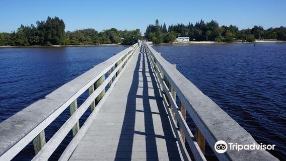 Bayshore Live Oak Park