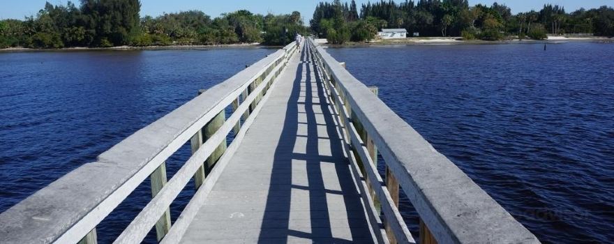 Bayshore Live Oak Park