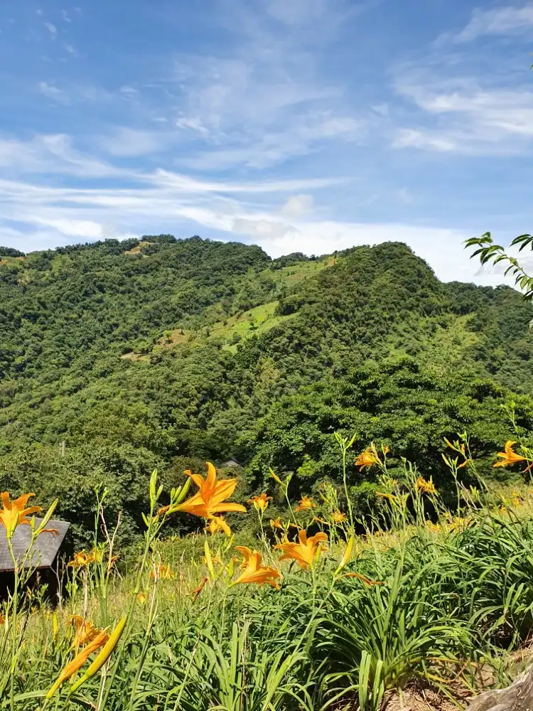 Hotel dekat Muxinquan Leisure Farm