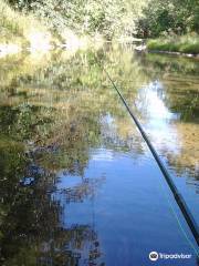 Sugar Grove Trophy Trout Farm