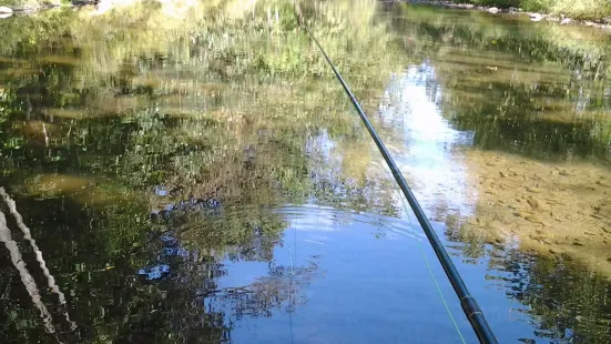 Sugar Grove Trophy Trout Farm