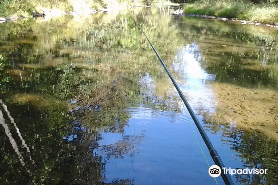 Sugar Grove Trophy Trout Farm