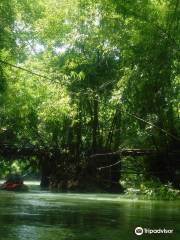 The River Bumpkin Farm