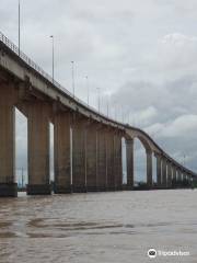 Jules Wijdenbosch Bridge