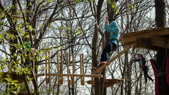 Wald-Abenteuer der Waldkletterpark