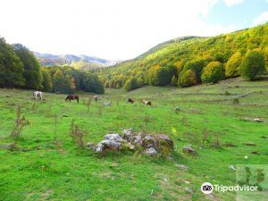 Sentiero F4 Fondillo - Forca d'Acero