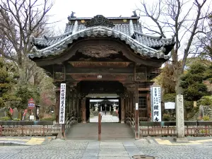 반나지