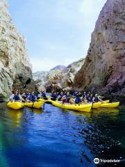 Natural Kayak