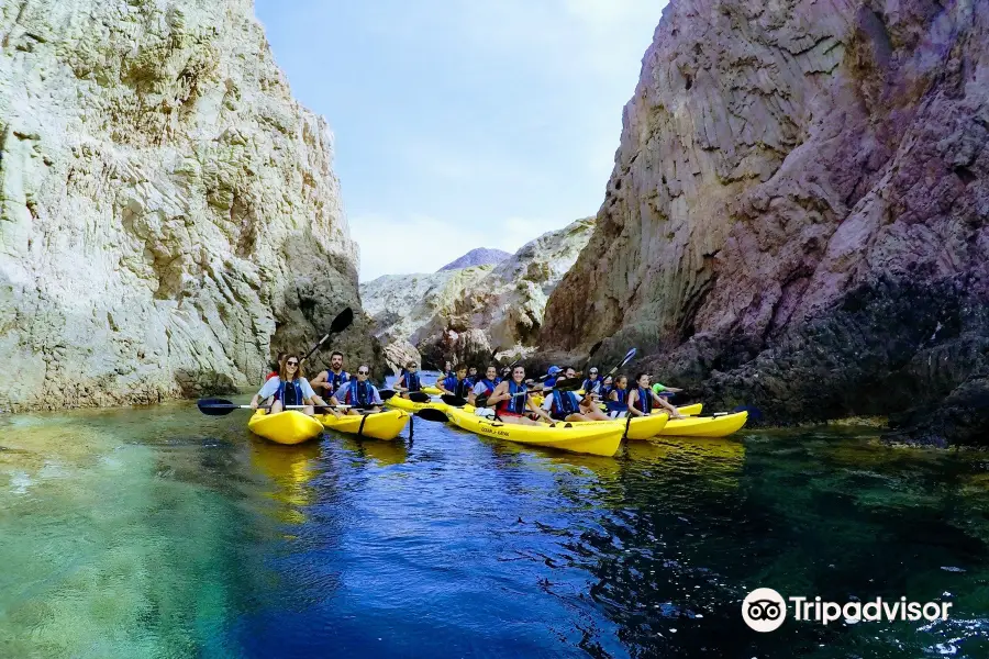 Natural Kayak