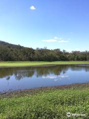 Hasties Swamp National Park