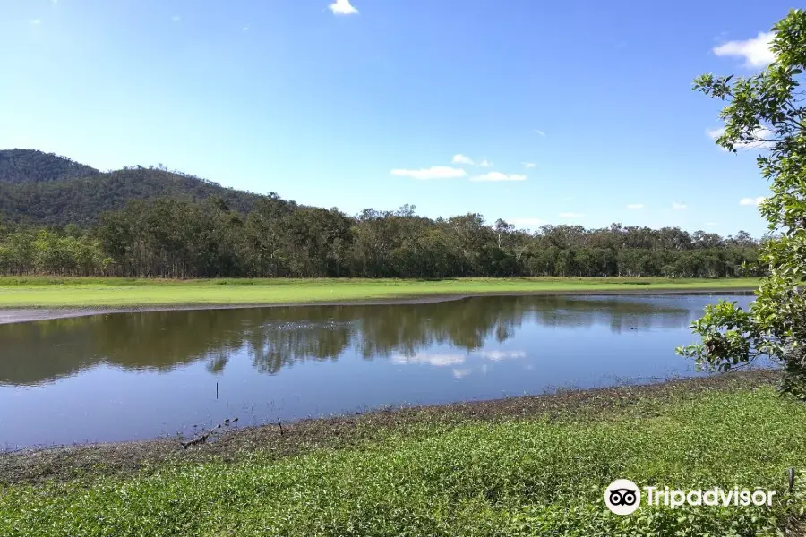 Hasties Swamp National Park