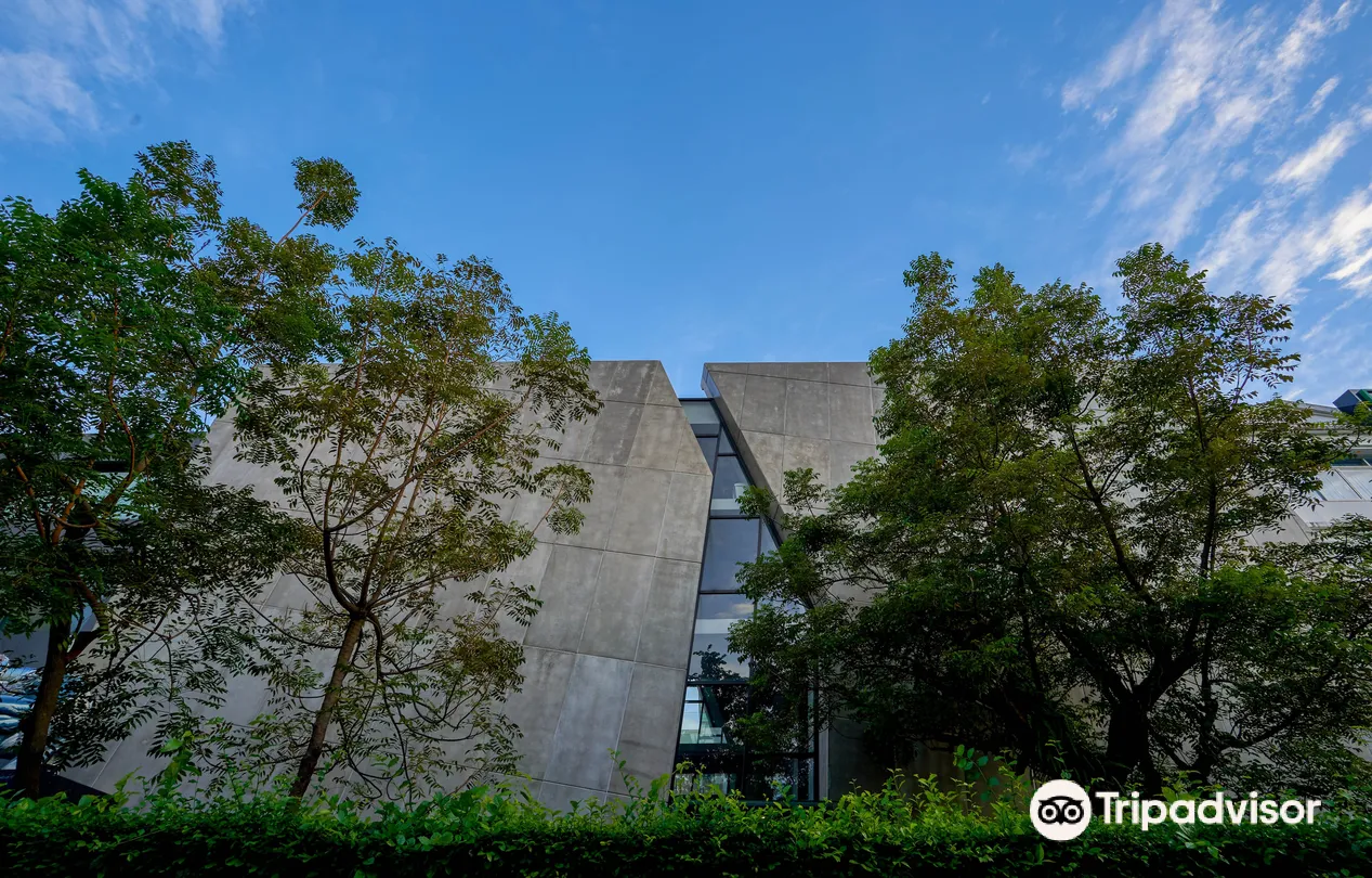 5_Adler Subhashok Gallery