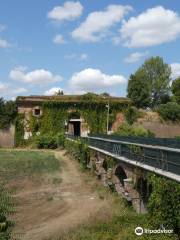 La Cittadella di Alessandria