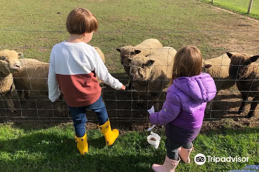 Melbourne Animal Farm