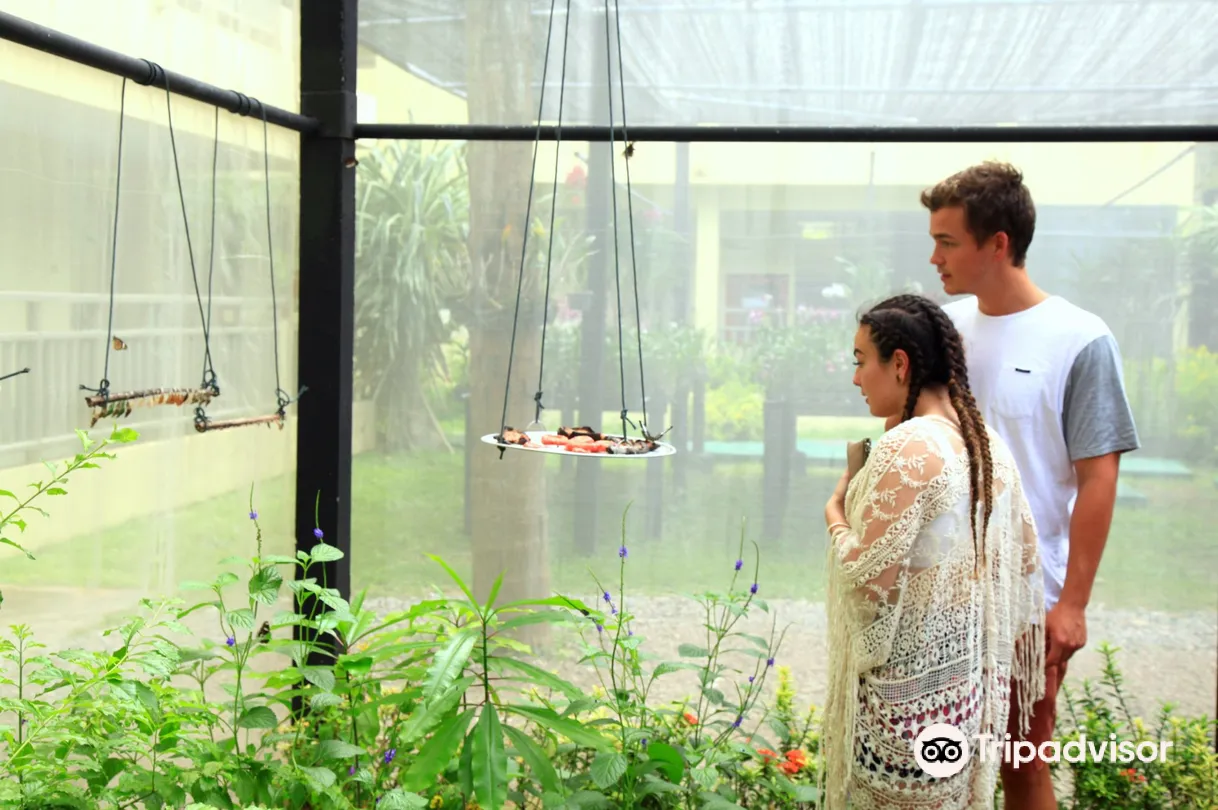 2_Butterfly Sanctuary
