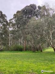 Darebin Parklands