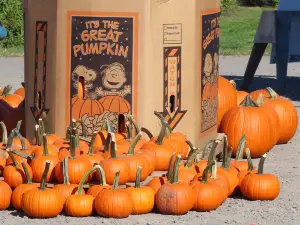 Terhune Orchards