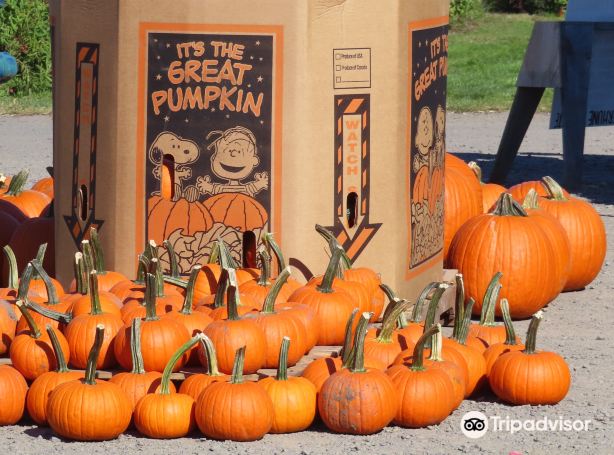 Terhune Orchards