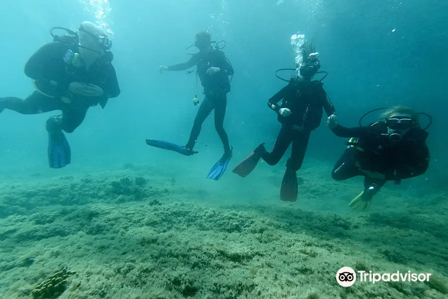 Scuba Libre Diving