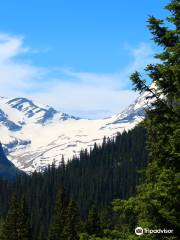 Jackson Glacier Overlook