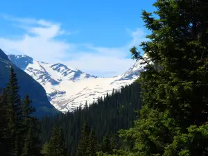 Jackson Glacier Overlook