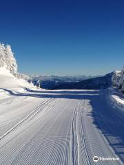 Scuola Italiana Sci e Snowboard Folgarida Dimaro