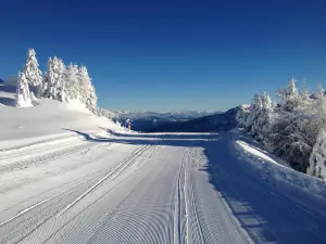 Italian Ski and Snowboard School Folgarida Dimaro