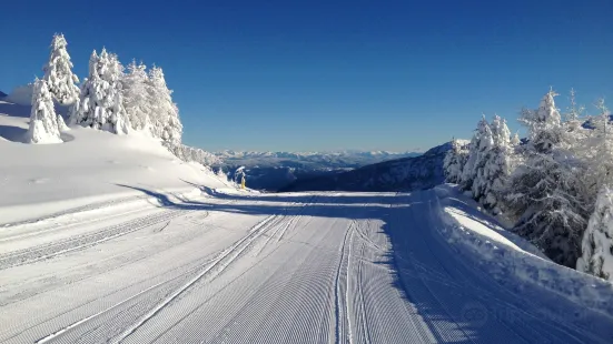 Italian Ski and Snowboard School Folgarida Dimaro