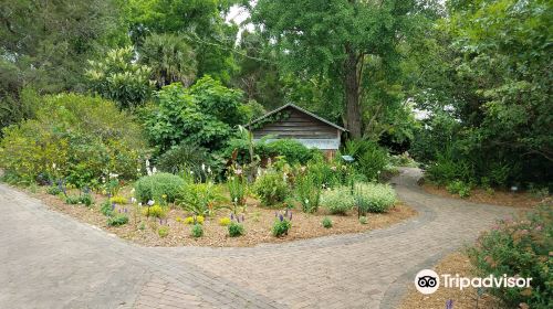 Garden of the Coastal Plain at Georgia Southern University