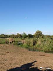 Sabi Sand Game Reserve