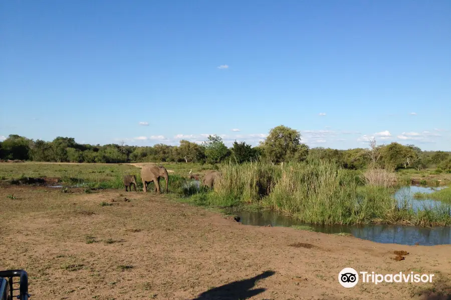 Sabi Sand Game Reserve