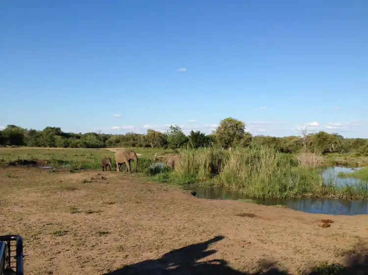 Hotel berhampiran Sabie Game Reserve