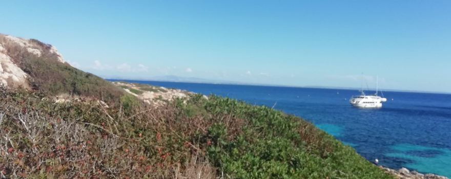 Cala Minnola