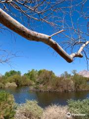 Henderson Bird Viewing Preserve