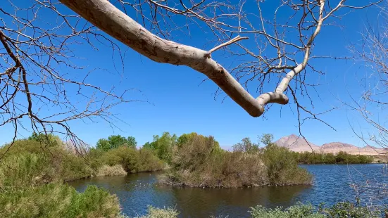 Henderson Bird Viewing Preserve