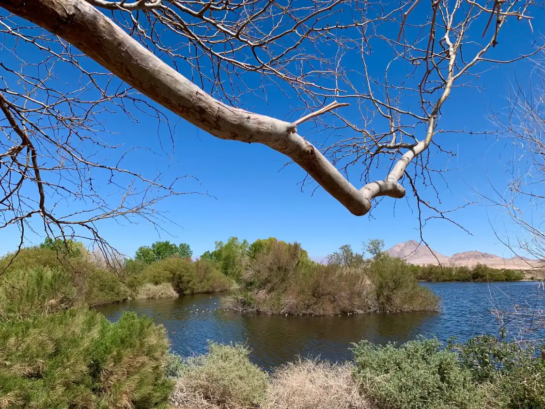 Hotel in zona Henderson Bird Viewing Preserve