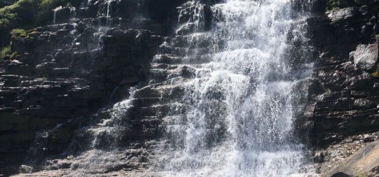 Overfall Brook Trail
