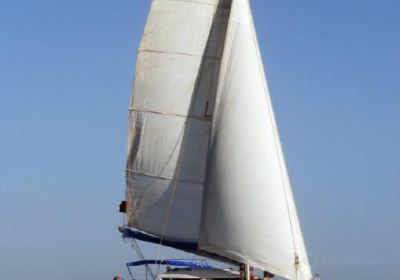 الداخلة