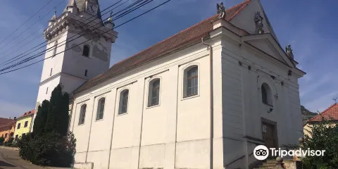 St. Barbara's Church （Kostel sv. Barbory）