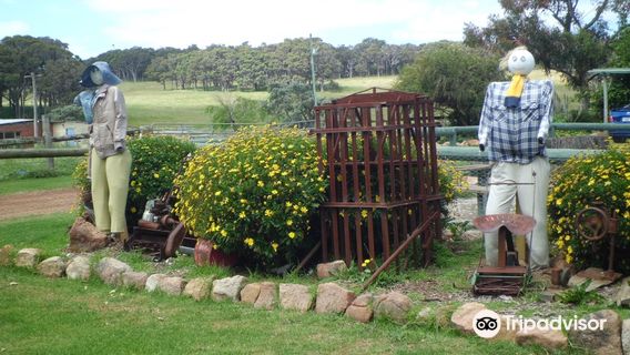 Sunflowers Animal Farm