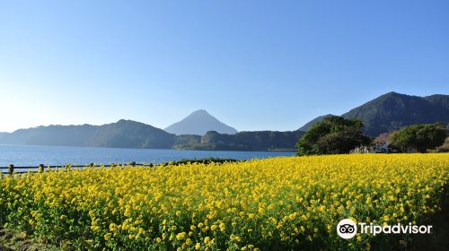 池田湖