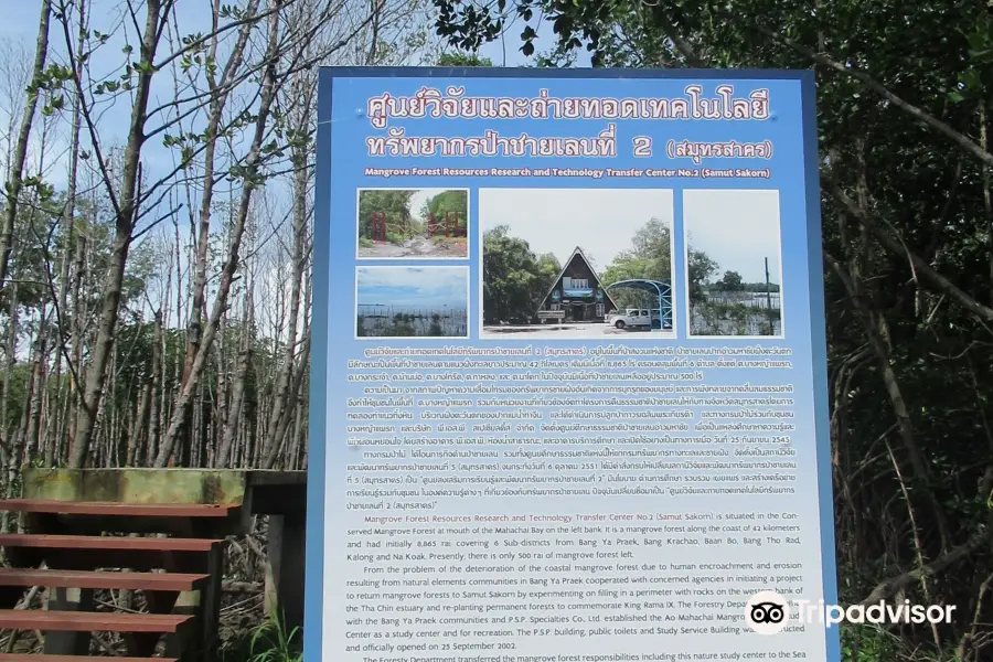 Ao Mahachai Mangrove Forest Natural Education Center