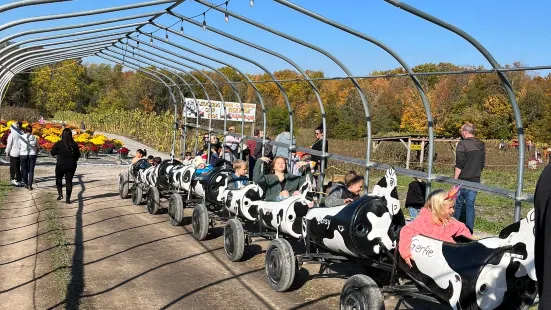 Howell Family Pumpkin Farm