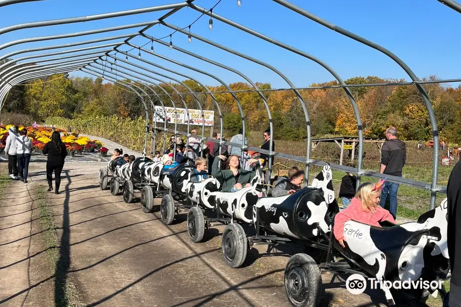 Howell Family Pumpkin Farm