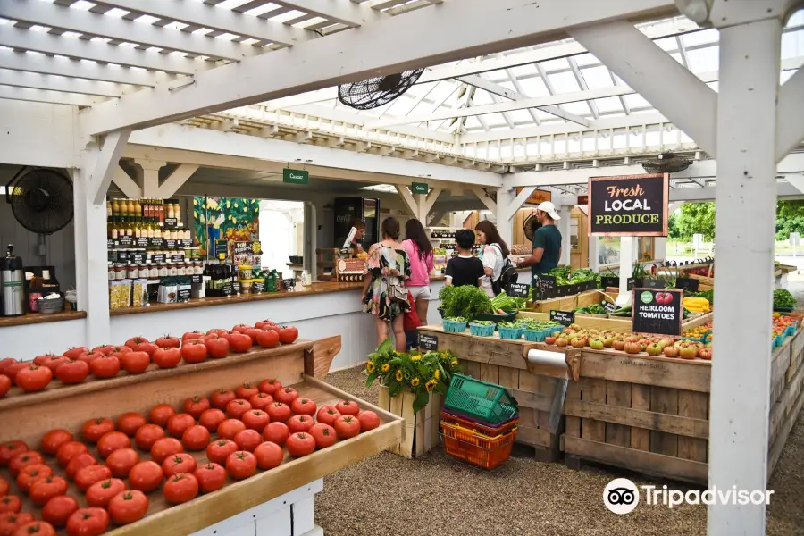 Harbes Family Farm - Mattituck